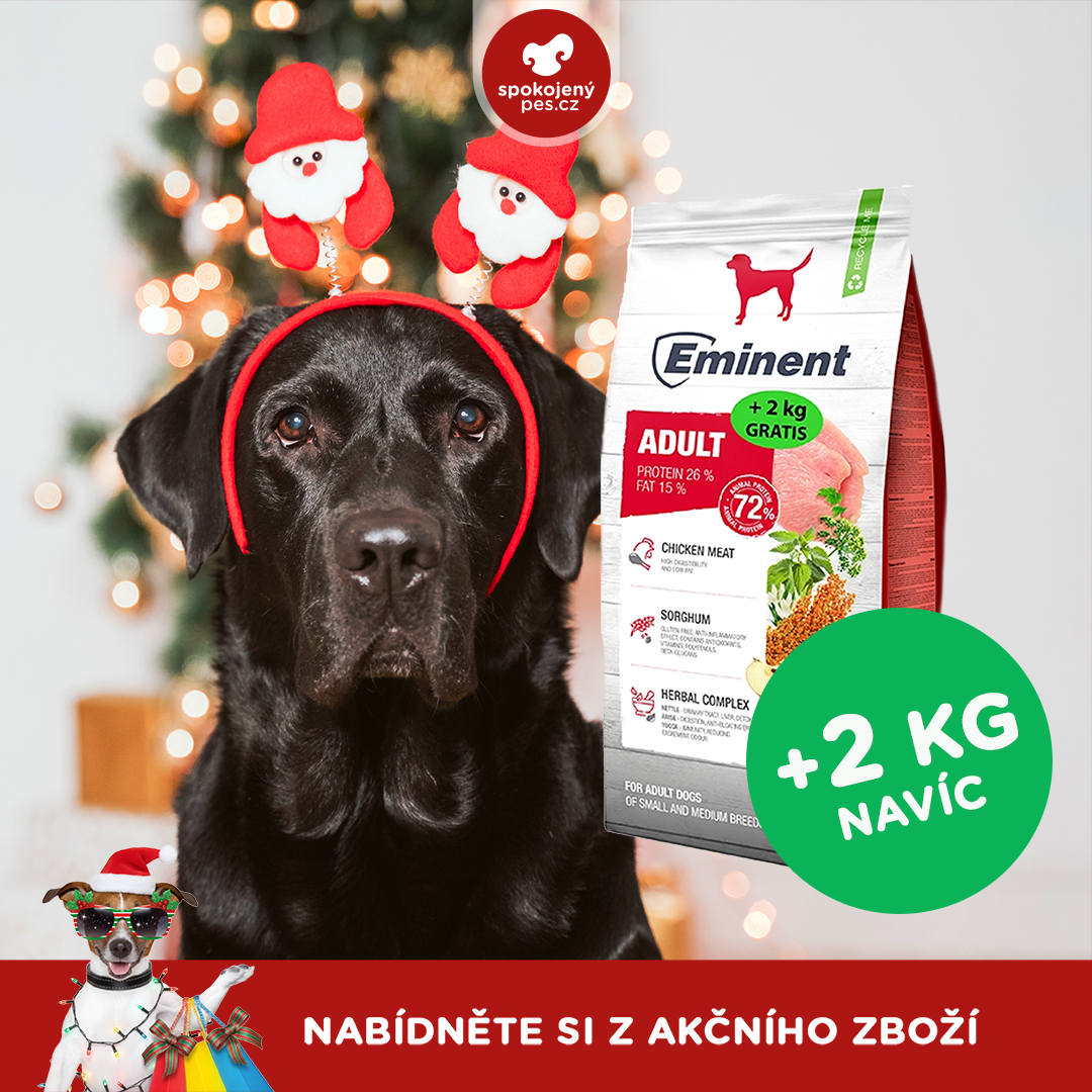 akční prosinec_pes9.png